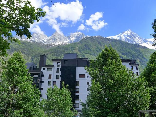 Appartement L'Outa - Chamonix Centre