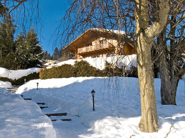 Chalet L'Eau Vive - Villars - sur - Ollons 