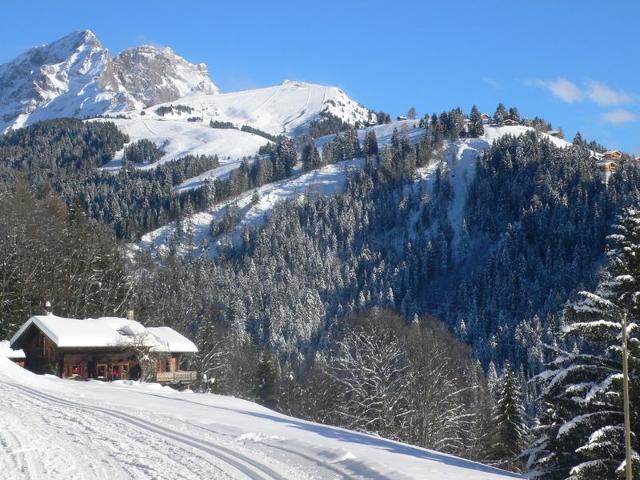 Châlet Sapin Bleu 6 - Villars - sur - Ollons 